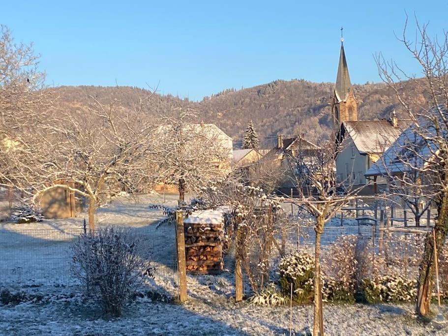 Gite Le Charmot, Au Pied Des Montagnes Classe 3* Roderen Eksteriør bilde
