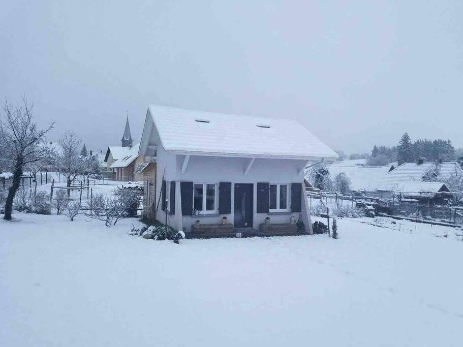 Gite Le Charmot, Au Pied Des Montagnes Classe 3* Roderen Eksteriør bilde